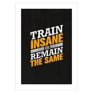 Plakat med teksten, Train insane and remain the same med sort baggrund