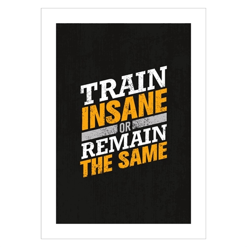 Plakat med teksten, Train insane and remain the same med sort baggrund