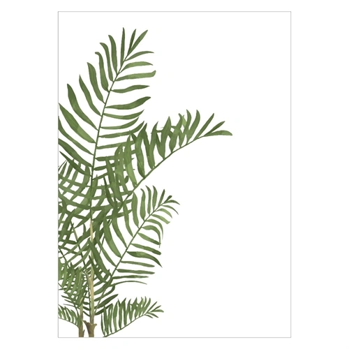 Smuk plakat med stor Areca-palme i grønne farver
