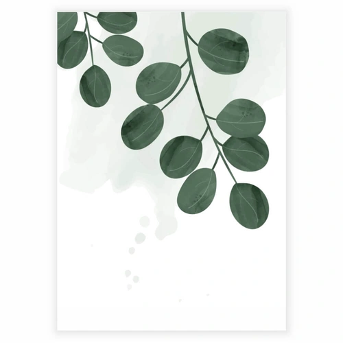 Akvarel plakat med motiv af runde planteblade i grøn