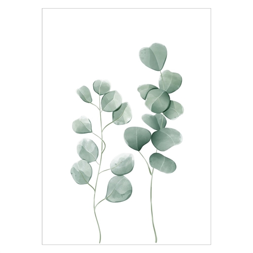 Eukalyptus planter med grønne blade i akvarel