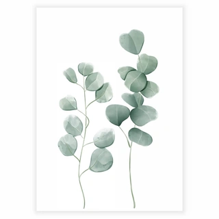 Eucalyptus leaves 2 - Plakat