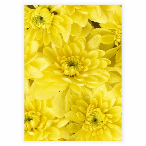 Nærbillede af smukke gule blomster som plakat