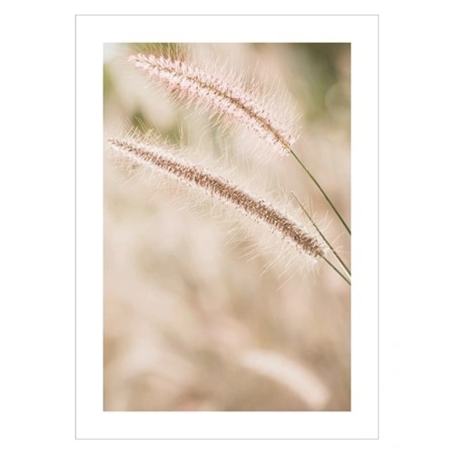 Plakat med mission grass