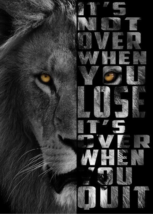 Plakat It's not over Lion 