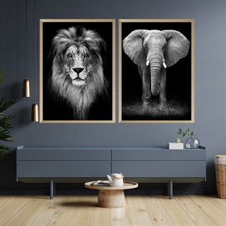 Plakatsæt med løve og elefant, moderne og stilfylde