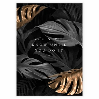 Plakat - You newer know until you do it