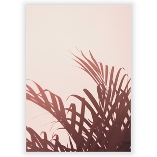 Plakat med palmeblade 5