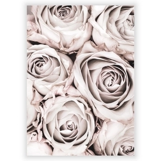 Plakat - Grey Roses