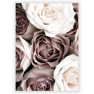 Plakat med Roses 1