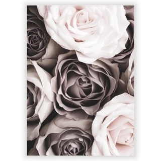 Plakat med Roses 2