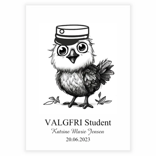 Plakat - VALGFRI Student med ugle