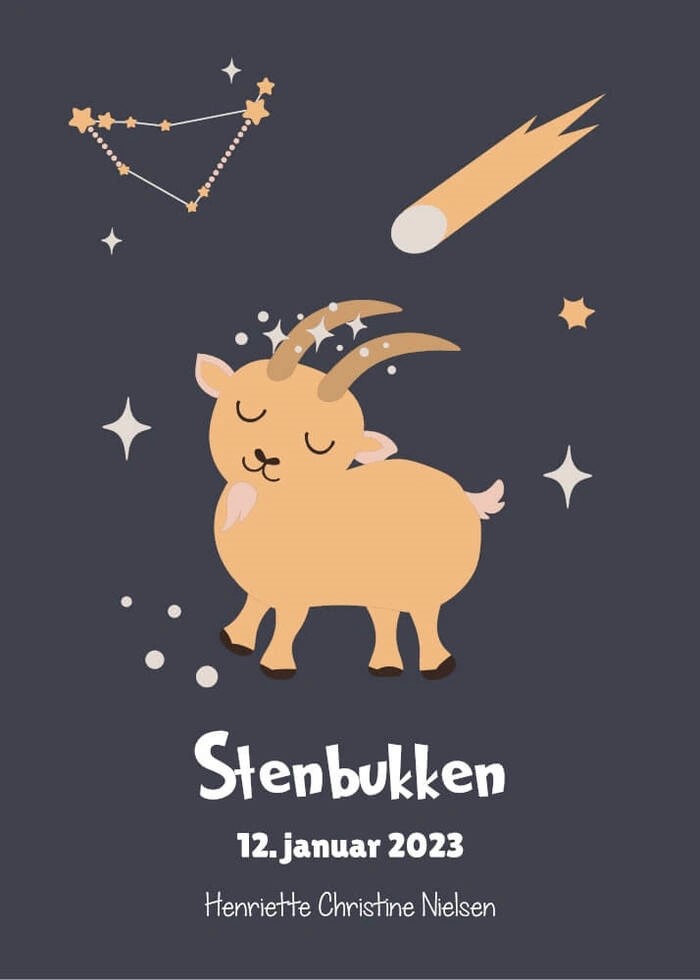 en personlig plakat med stjernetegnet stenbukken, dato og navn.