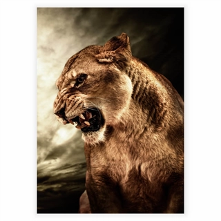 Plakat med løve
