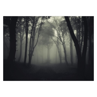 Mørk og dunkel plakat af en tåget skov