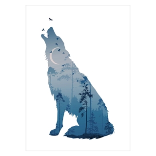 Plakat med unik tegnet ulv i blå nuancer