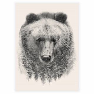 Plakat - The bear