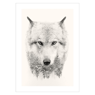 kunstnerisk plakat med ulv tegnet på skov 