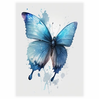 Sommerfugl blå Akvarel plakat