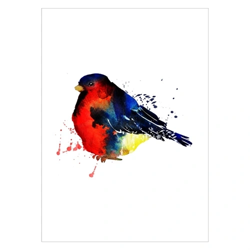 Plakat med billede af en dompap fugl