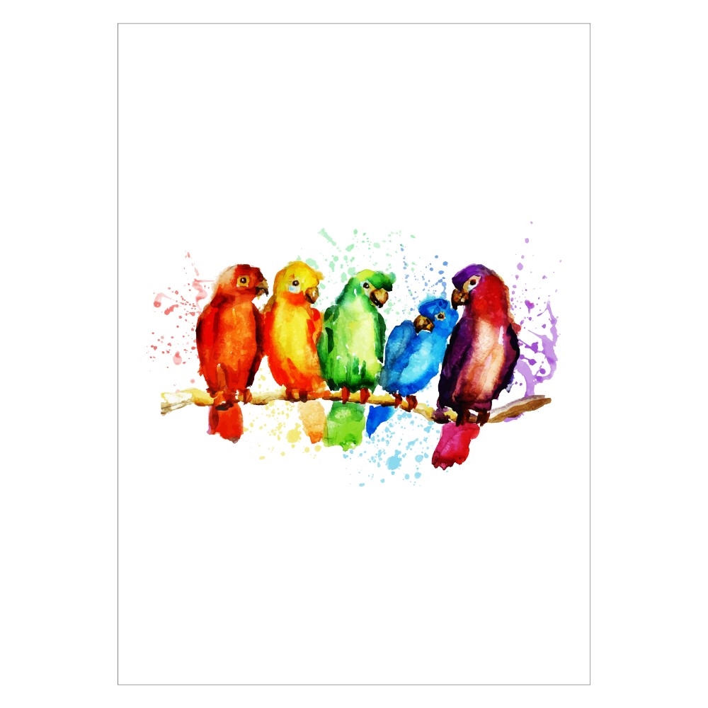 Plakat, med farverige papegøjer i flere størrelser