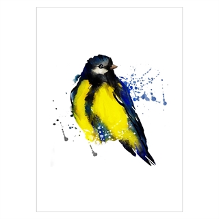 Plakat med gul Tomtit fugl