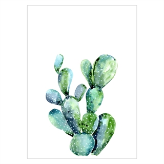Plakat med watercolor kaktusplante