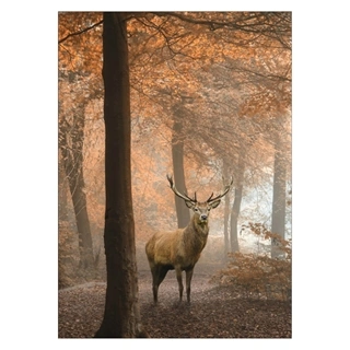 Flot efterårs plakat med fokus på en hjort