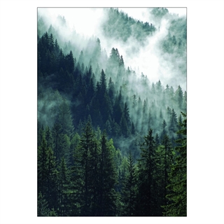 Plakat med bjerg skov og tåge