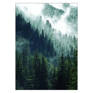 Plakat - Bjerg skov og tåge