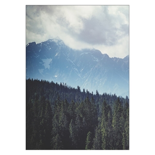 Plakat med grønne bjergskov landskab