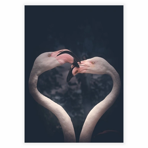 Plakat med Flamingo par i nattehimlen