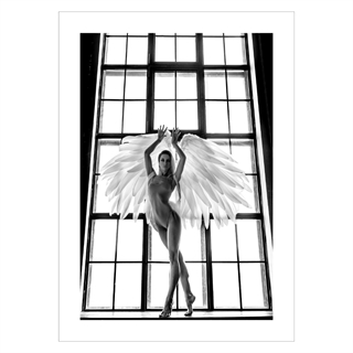 Plakat - Female with wings. En virkelig flot plakat i sort/hvid med en smuk kvinde i badedragt og vinger, stående i et vindue.