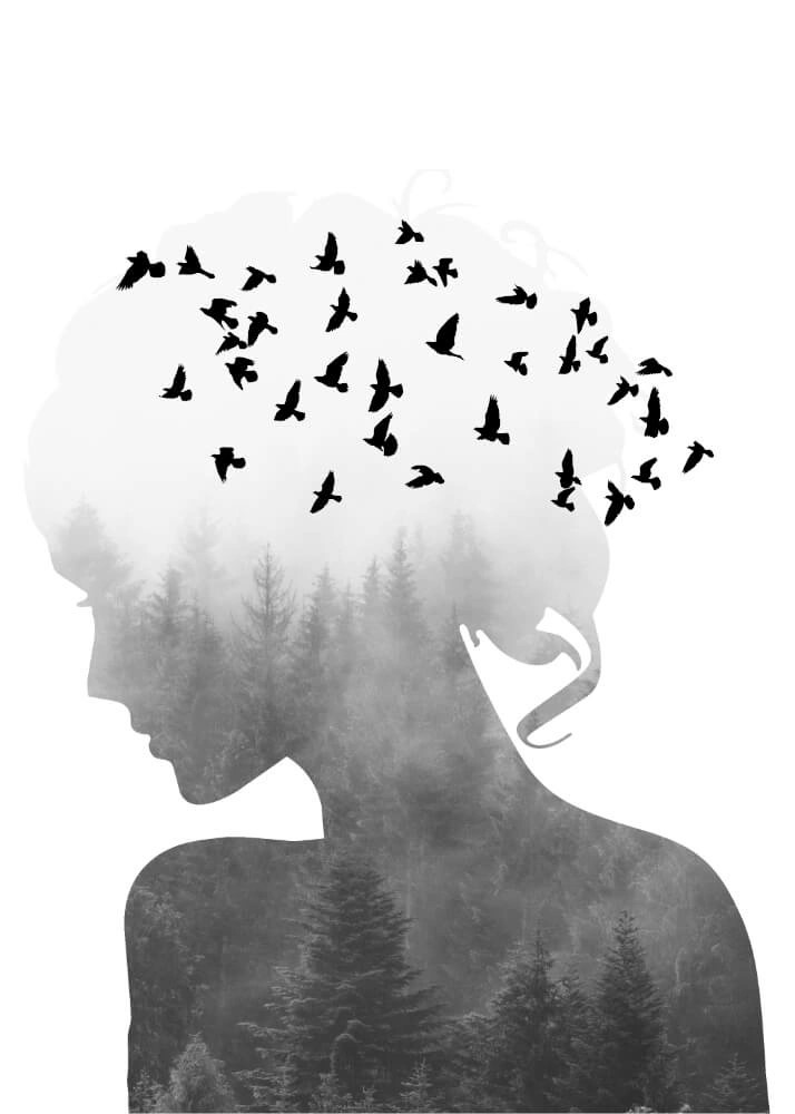 Plakat - Silhouette Women and Birds. Plakaten forestiller en kvinde i profil, som har fugle flyvende inkorporeret i sig