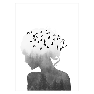 Plakat - Silhouette Women and Birds. Plakaten forestiller en kvinde i profil, som har fugle flyvende inkorporeret i sig