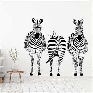 Wallsticker med dyr til din bolig - 3 zebra på stribe. Her har du en virkelig flot og stilren wallsticker med 3 skønne zebraer. 
