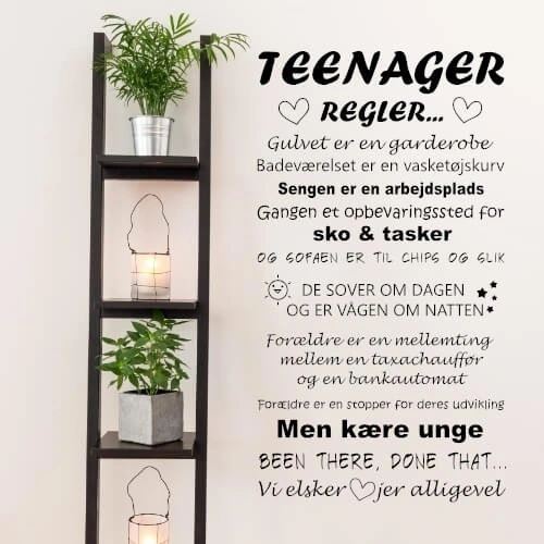Teenager regler-Large - wallstickers