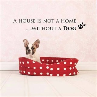 Wallstickers med engelsk tekst – A house without a dog